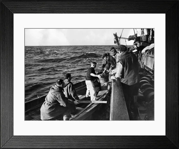 Framed Print : Fishing Fleet helps the Navy These Fishing Trawler men believe that one good turn Framed Print : Fishing Fleet helps the Navy These Fishing Trawler men believe that one good turn