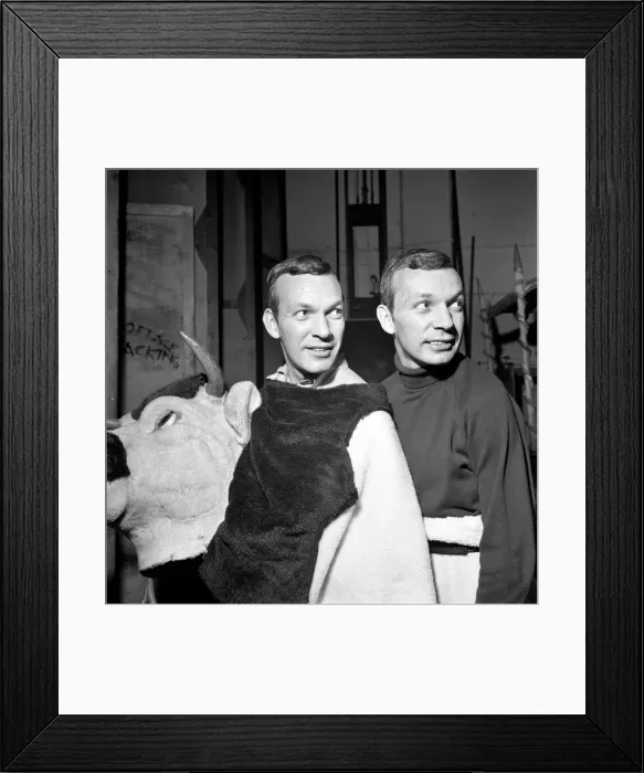 Framed Print : People are amazed when the head and rear end of the cow come off in the Palace Pantomime