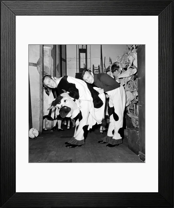 Framed Print : People are amazed when the head and rear end of the cow come off in the Palace Pantomime Framed Print : People are amazed when the head and rear end of the cow come off in the Palace Pantomime