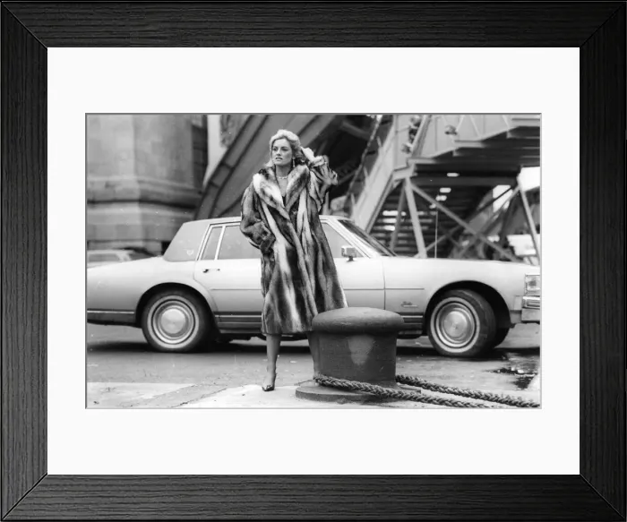 Framed Print : A model poses in the luxury of fake fur coat Framed Print : A model poses in the luxury of fake fur coat