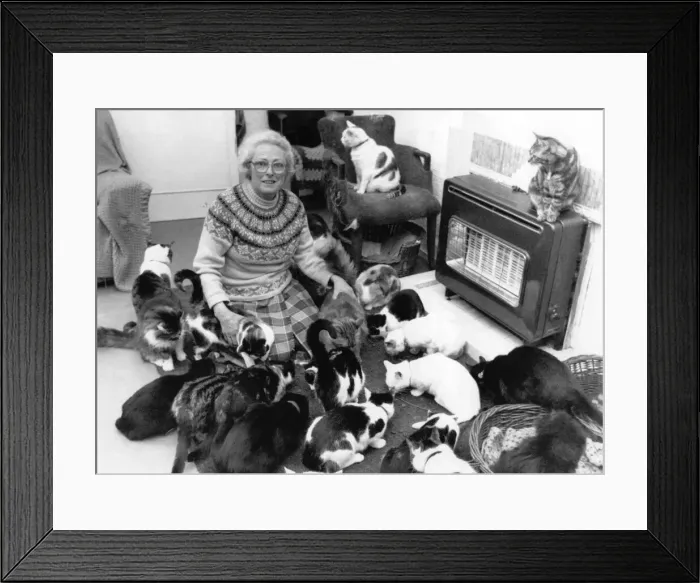Framed Print : Cats Galore Sylvia Phillips with a few of her friends