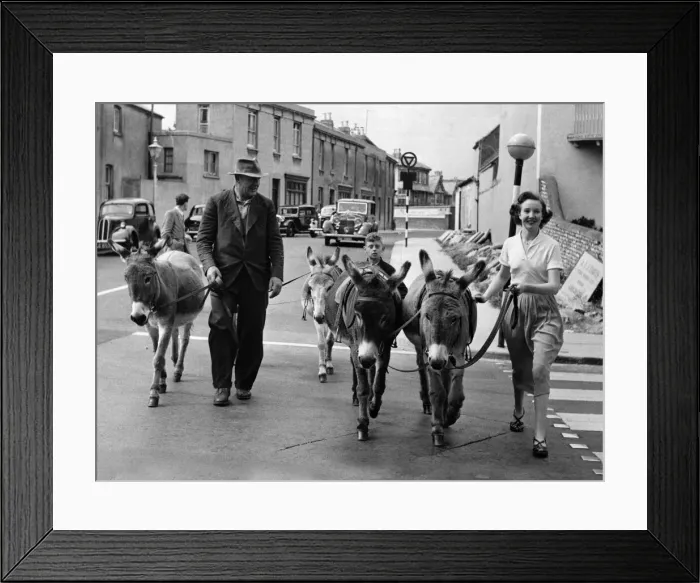 Framed Print : Off to the beach: Mrs. Walsh with Mr. Smith, the donkey man. August 1954 P011888 Framed Print : Off to the beach: Mrs. Walsh with Mr. Smith, the donkey man. August 1954 P011888