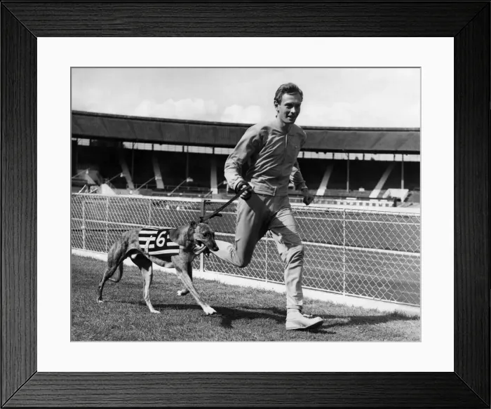 Framed Print : Brain Hewson is here seen lapping the track with his greyhound