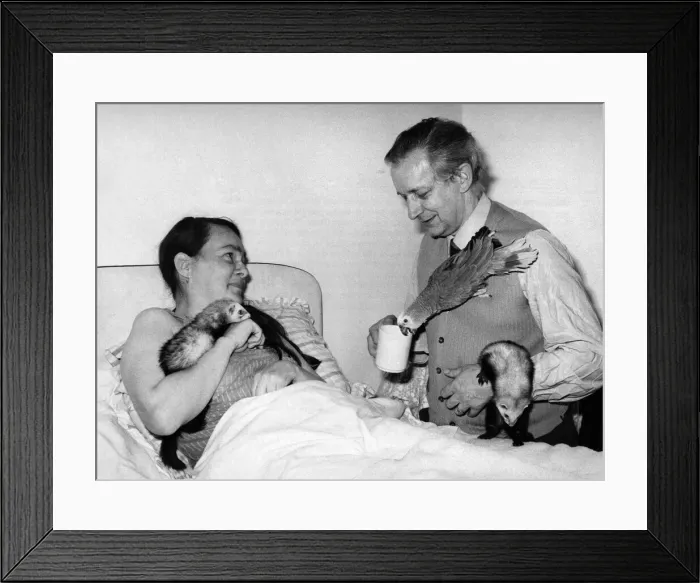 Framed Print : Bob Pearce brings Jean her tea and some company. April 1978 P011790