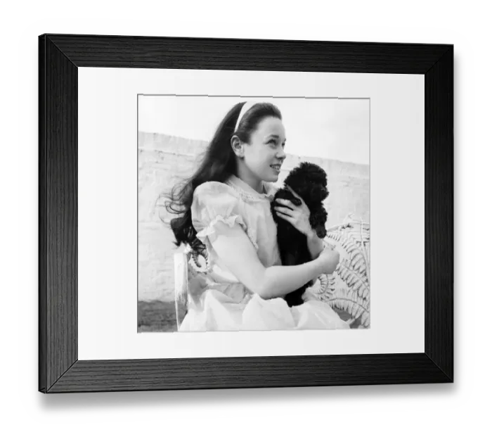 Framed Print : Girl holding a cute poodle dog. June 1960 M4460-003 Framed Print : Girl holding a cute poodle dog. June 1960 M4460-003