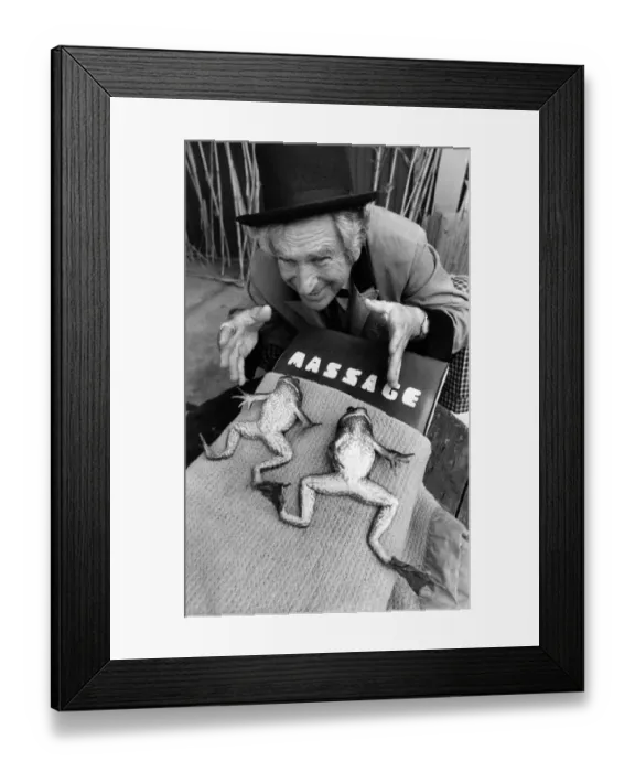 Framed Print : Animal Frogs. Professor Steed and two of his star pupils, in the massage room Framed Print : Animal Frogs. Professor Steed and two of his star pupils, in the massage room