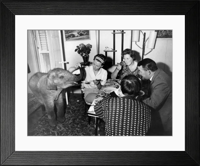 Framed Print : No rest for Mary when she sits down for her own meal. There beside her appears Framed Print : No rest for Mary when she sits down for her own meal. There beside her appears