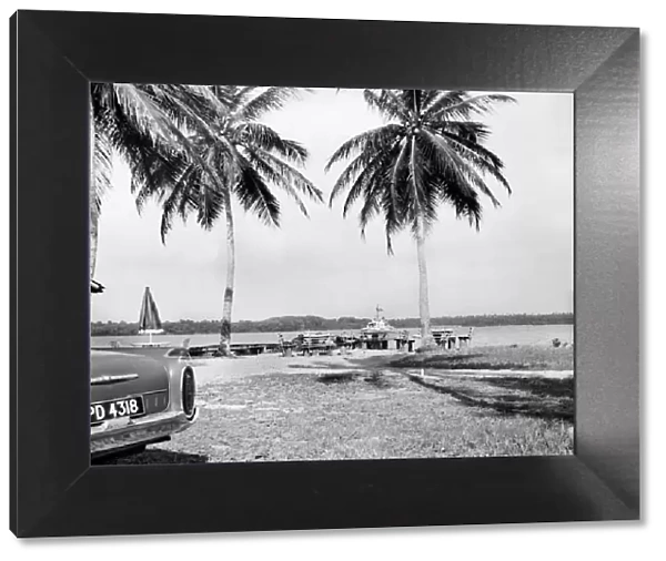 Palm Trees and Beach House in Tobago. May 1960 M4289-004