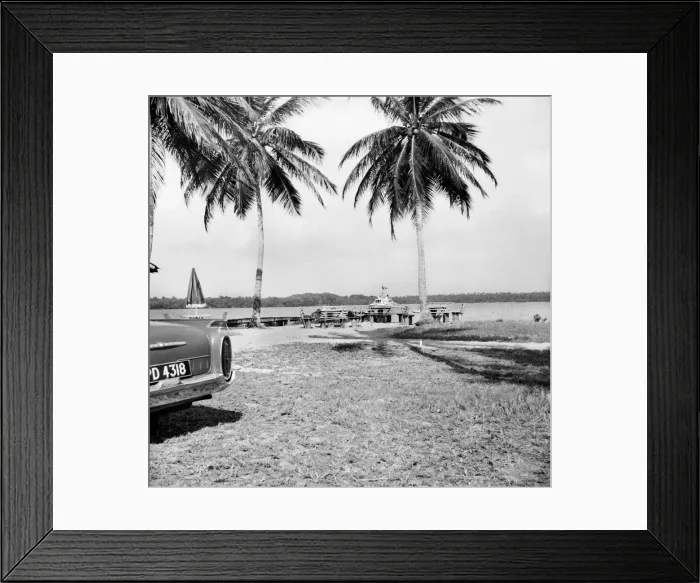 Framed Print : Palm Trees and Beach House in Tobago. May 1960 M4289-004 Framed Print : Palm Trees and Beach House in Tobago. May 1960 M4289-004
