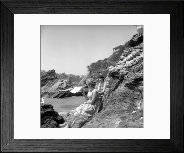 Framed Print : The saucy seagull that dives onto holidaymakers, snatching food from their hands Framed Print : The saucy seagull that dives onto holidaymakers, snatching food from their hands