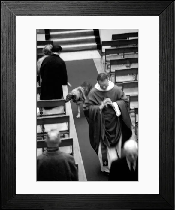 Framed Print : Dogs animals humor religion: Shadow'the Alsatian follows her master - parish