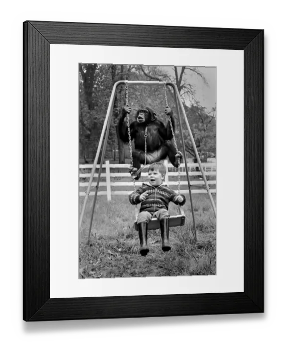 Framed Print : For 2 year old David Cawley, who lives on the Lion Reserve, at Longleat