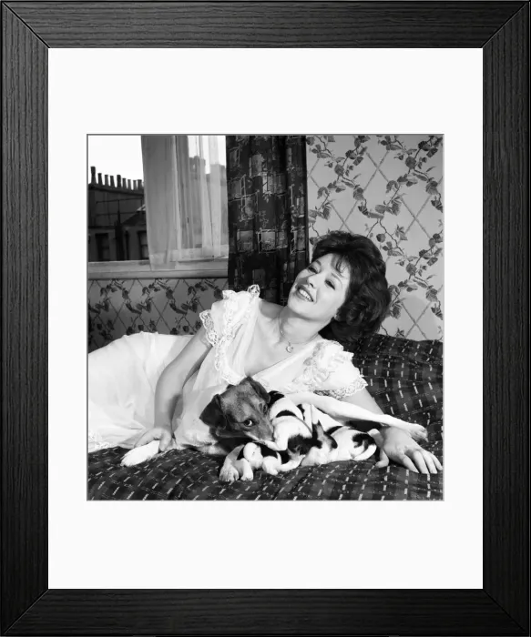 Framed Print : Pat Hamilton Glamour children  /  puppies. June 1960 M4467-002