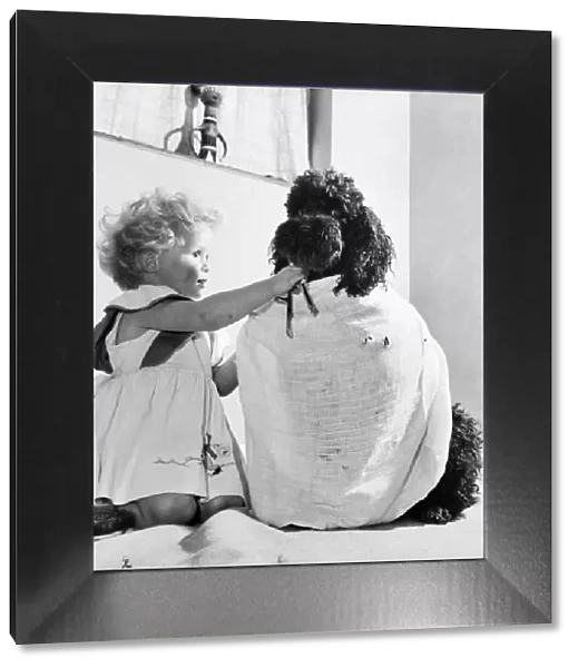 Susan Phillips seen here bathing her poodle Andy. November 1953 D6816-002