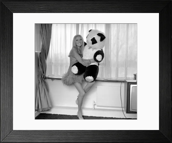Framed Print : Entertainment television: Presenter Clodagh Rodgers at her home in London with her cuddly