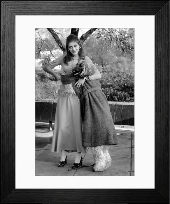 Framed Print : Some of the dogs taking part in the Richmond Dog Show next Saturday