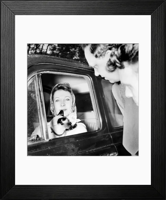 Framed Print : Vivien Leigh leaving her flat at 54 Eaton Square tonight at 6. 15 pm Framed Print : Vivien Leigh leaving her flat at 54 Eaton Square tonight at 6. 15 pm