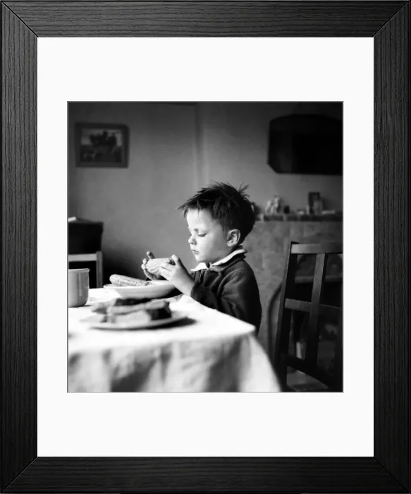 Framed Print : Small boy seen here eating corn on the cob for the first time Framed Print : Small boy seen here eating corn on the cob for the first time
