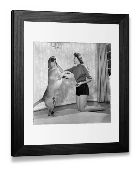 Framed Print : A well-trained dog that is if he is like Elspeth GrayOs golden Labrador Bastien Framed Print : A well-trained dog that is if he is like Elspeth GrayOs golden Labrador Bastien