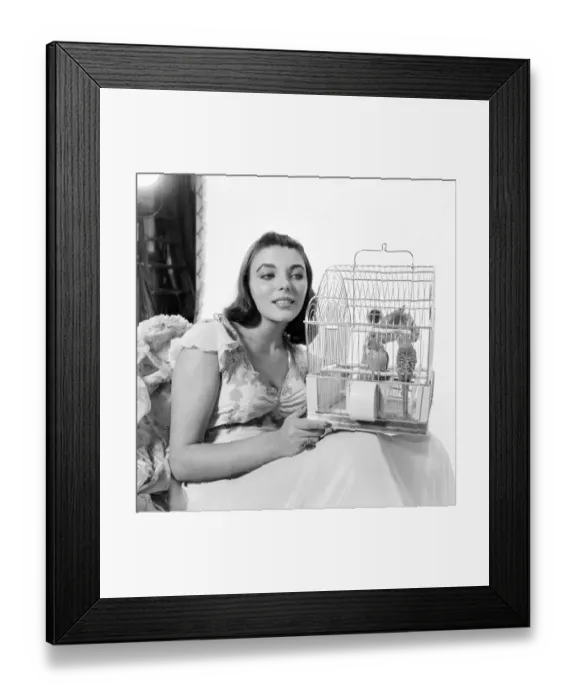 Framed Print : At Shepperton Studios Joan Collins is one of the stars in a Romulus film called Framed Print : At Shepperton Studios Joan Collins is one of the stars in a Romulus film called