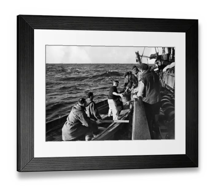 Framed Print : Fishing Fleet helps the Navy These Fishing Trawler men believe that one good turn Framed Print : Fishing Fleet helps the Navy These Fishing Trawler men believe that one good turn