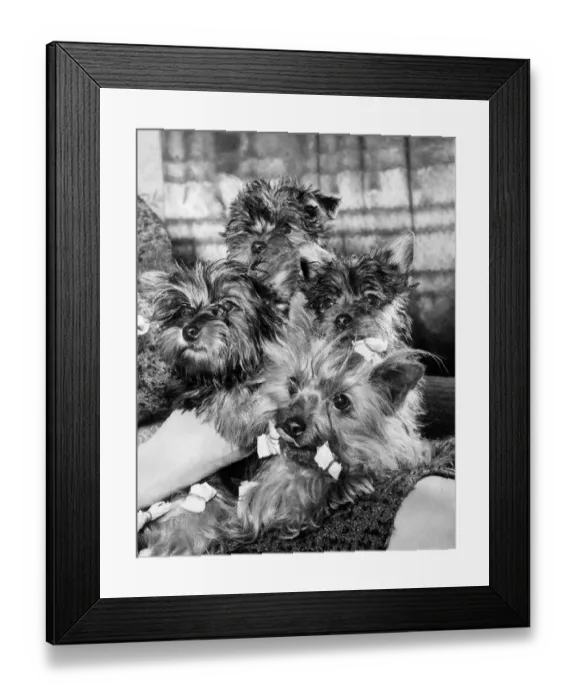 Framed Print : She sits with her family at home in Wallington, Surrey Framed Print : She sits with her family at home in Wallington, Surrey