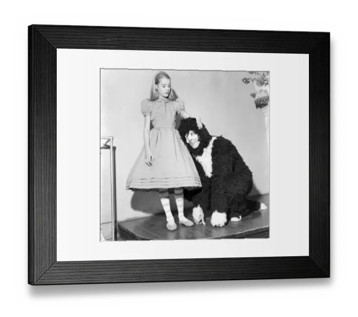 Framed Print : Julia Lockwood is busy rehearsing the part of Alice in Wonderland at the Kew Theatre for Framed Print : Julia Lockwood is busy rehearsing the part of Alice in Wonderland at the Kew Theatre for