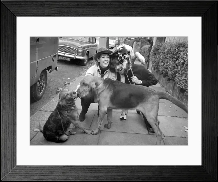 Framed Print : 30 year old pop star P. J Proby announced his engagement to British actress Vanessa