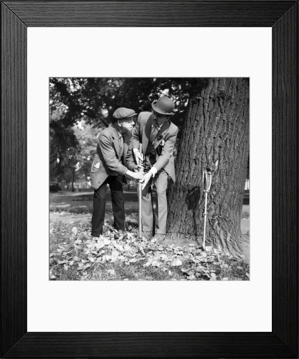 Framed Print : Comic actor Terry Thomas in Hyde Park with a park keeper. October 1953 D5972-1 Framed Print : Comic actor Terry Thomas in Hyde Park with a park keeper. October 1953 D5972-1