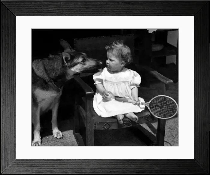 Framed Print : 9 months old boy of Mr. Drobny and his wife Miss R. Jarvis is seen here whilst their