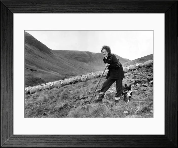 Framed Print : Shepherdess: Hows this for Womans lib. with only the mountains Framed Print : Shepherdess: Hows this for Womans lib. with only the mountains