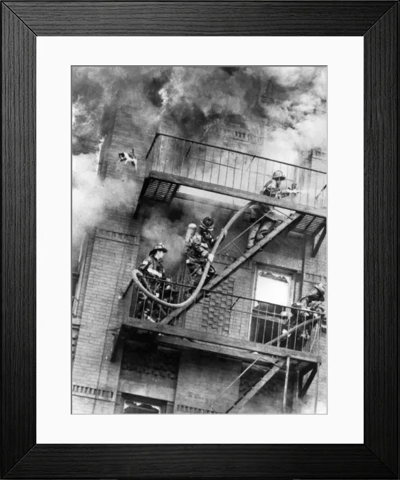 Framed Print : Animals Cats: Flying Start. Out of the inferno, the cat hurtles past firemen on its Framed Print : Animals Cats: Flying Start. Out of the inferno, the cat hurtles past firemen on its