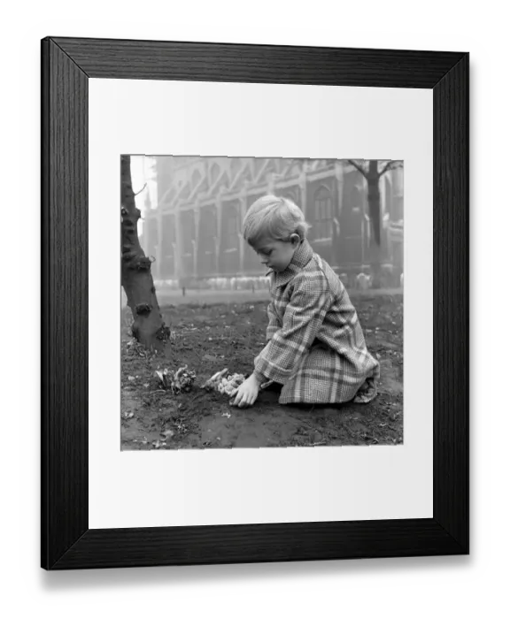 Framed Print : Carron Rownely aged four seen here tending the grave of her pet mice in the Church Garden Framed Print : Carron Rownely aged four seen here tending the grave of her pet mice in the Church Garden