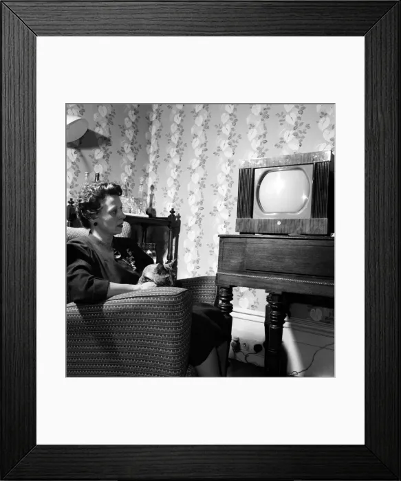 Framed Print : The B. B. C. are certainley trying to introduce new blood Framed Print : The B. B. C. are certainley trying to introduce new blood