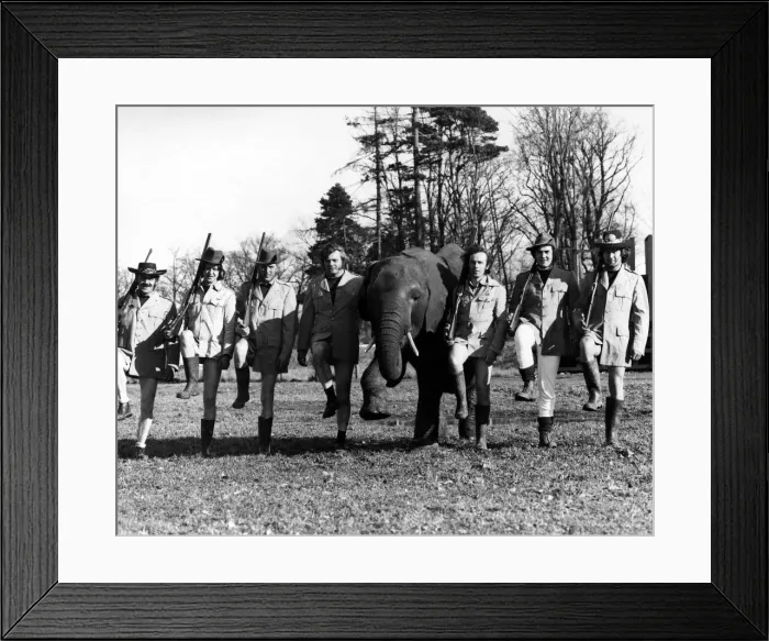 Framed Print : Animals - Elephants: Stepping out with no Trousers. The one with the short Framed Print : Animals - Elephants: Stepping out with no Trousers. The one with the short
