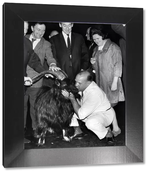Butty Sugrue welcomes the wild mountain goat at Euston Station. August 1969 P011780