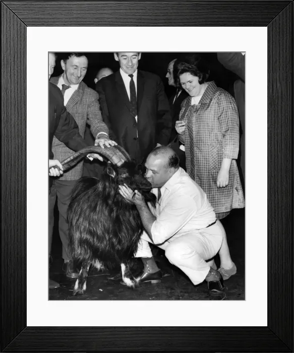 Framed Print : Butty Sugrue welcomes the wild mountain goat at Euston Station. August 1969 P011780 Framed Print : Butty Sugrue welcomes the wild mountain goat at Euston Station. August 1969 P011780