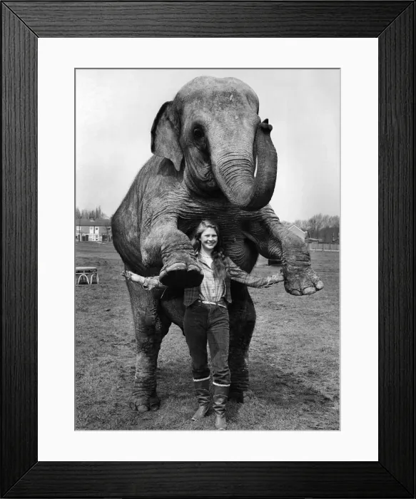 Framed Print : Trainer 16-year-old Nicki King with Dum-Dum the elephant Framed Print : Trainer 16-year-old Nicki King with Dum-Dum the elephant