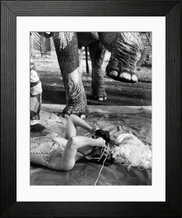 Framed Print : Photography Fisheye Lens. Doris Keen. October 1965 P011820