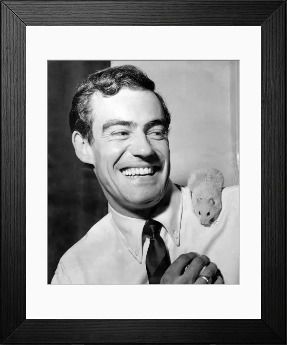 Framed Print : Hercules'the hamster with his owner John Allison. July 1966 P011787 Framed Print : Hercules'the hamster with his owner John Allison. July 1966 P011787