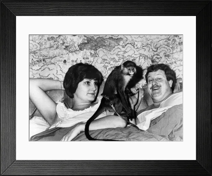 Framed Print : Monkey puzzle. Terry and Carol Kiernan and Ton Ton. January 1986 P011699 Framed Print : Monkey puzzle. Terry and Carol Kiernan and Ton Ton. January 1986 P011699