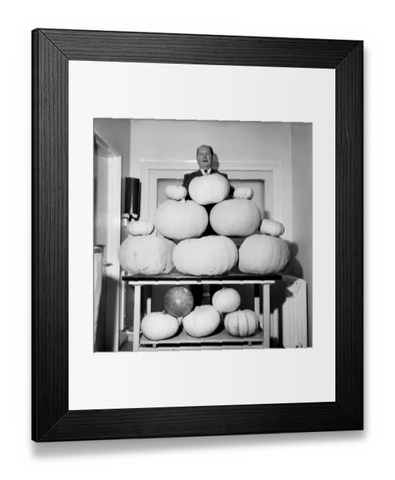Framed Print : 58 year old Charlie Roberts of Eastbourne, Sussex is proud of his pumpkin growing prowess Framed Print : 58 year old Charlie Roberts of Eastbourne, Sussex is proud of his pumpkin growing prowess