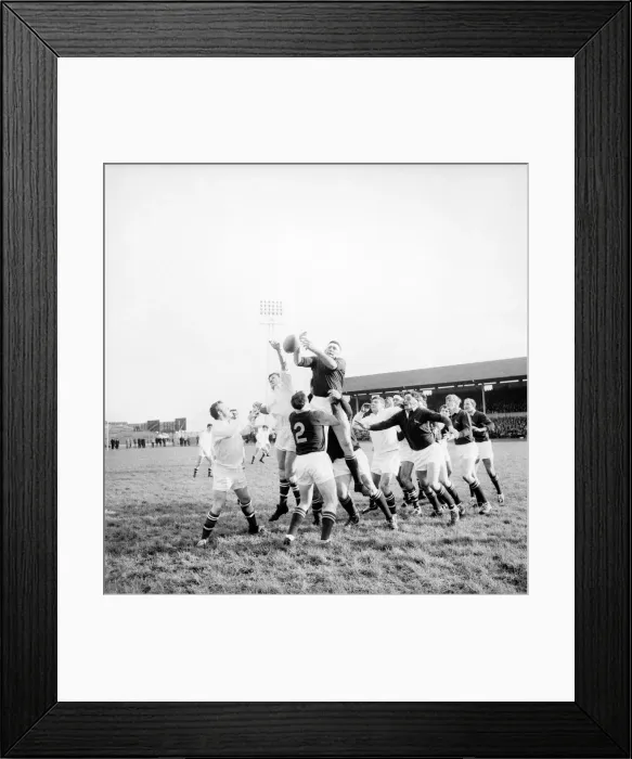 Framed Print : Swansea v. South Africa. Gabniel Caselse Springboks heavy forward jumps high in lineout Framed Print : Swansea v. South Africa. Gabniel Caselse Springboks heavy forward jumps high in lineout