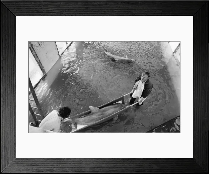 Framed Print : The great adventure begins Ahead lies a seven-hour journey to Scotland Framed Print : The great adventure begins Ahead lies a seven-hour journey to Scotland