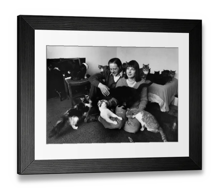 Framed Print : John and Rita Jennings pictured with some of their cats. March 1981 P011930 Framed Print : John and Rita Jennings pictured with some of their cats. March 1981 P011930