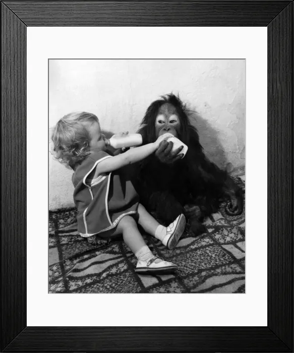 Framed Print : Bottles for two at Traceys tea party. Little Tracey Clews had a friend in to tea Framed Print : Bottles for two at Traceys tea party. Little Tracey Clews had a friend in to tea