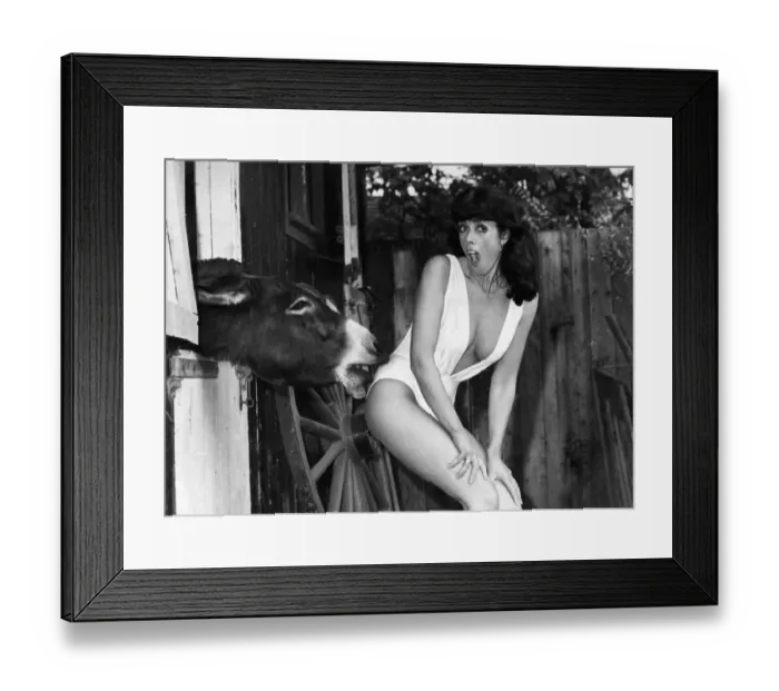 Framed Print : Florence makes a pass at her owner, Penny Marsden. November 1980 P011866 Framed Print : Florence makes a pass at her owner, Penny Marsden. November 1980 P011866