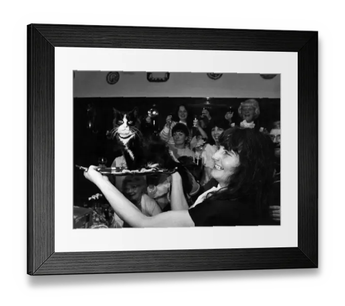 Framed Print : Tinker the cat with owner Jean Entwistle. March 1983 P011918 Framed Print : Tinker the cat with owner Jean Entwistle. March 1983 P011918