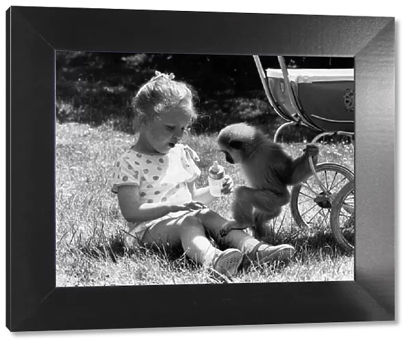 Little girl Madeline Jackson with Jake the monkey. June 1985 P011892