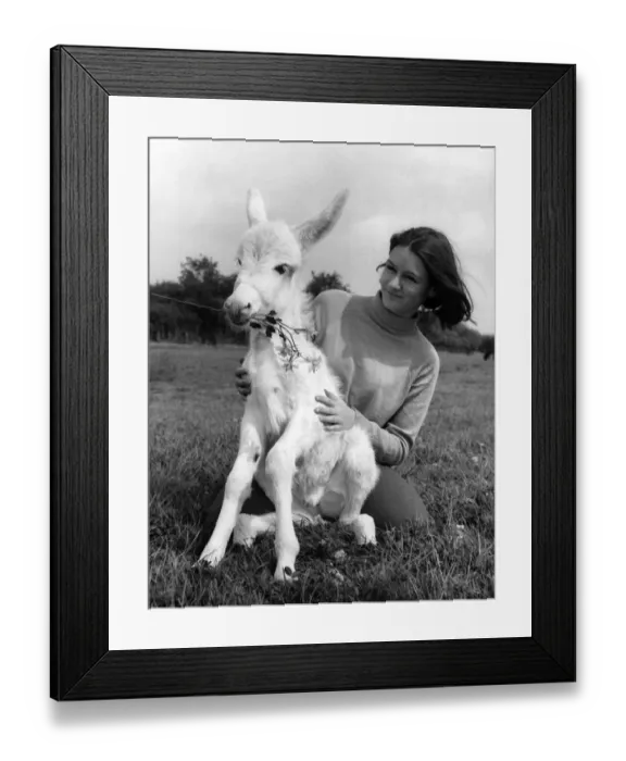 Framed Print : Roiney the donkey joins the flower set. Those so-called beautiful flower people people